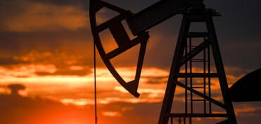 Lavrov Rusiya şirkətlərinin Venesueladan çıxarıldığını bildirib