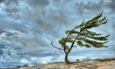 Bəzi yerlərdə külək güclənəcək - XƏBƏRDARLIQ