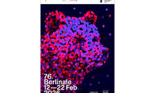 Berlin Film Festivalının keçiriləcəyi tarix açıqlanıb