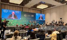 Saymon Stil Azərbaycana təşəkkür edib