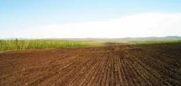 Ağalıda torpaqların əkin məqsədli istifadəsi üçün sonuncu müraciət qəbuluna başlanılıb