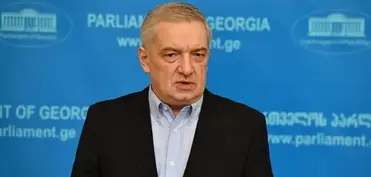 Vitse-spiker: Gürcüstan Azərbaycan-Ermənistan münasibətlərinin yaxşılaşmasından məmnundur