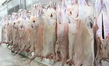 Ötən il Azərbaycana Monqolustandan 900 tona yaxın ət idxal edilib