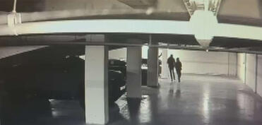 İstanbulda 30 milyon dollar oğurluğu: 11 nəfər həbs edilib