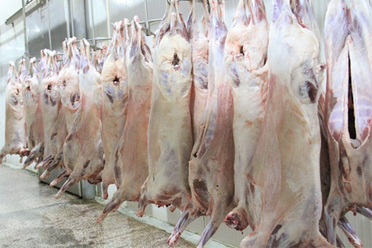 Ötən il Azərbaycana Monqolustandan 900 tona yaxın ət idxal edilib