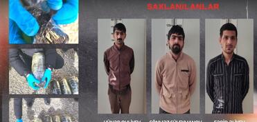 Qobustanda 4 kq narkotik aşkarlanıb - VİDEO