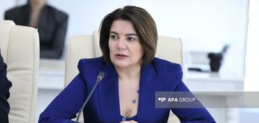 Vüsalə Mahirqızı: Azərbaycan dili ilə bağlı lüğətlərin elektronlaşdırılmasına ehtiyac var