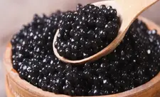 Azərbaycanda qara kürü istehsalı 2 dəfədən çox artıb