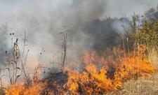 Şəkidə dağlıq ərazidə yanğın başlayıb