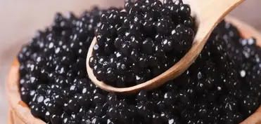 Azərbaycanda qara kürü istehsalı 2 dəfədən çox artıb