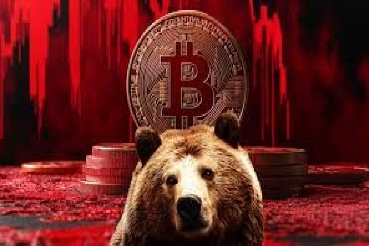 "Bitcoin" niyə ucuzlaşır? -kriptobirjada “ayı dövrü” dərinləşir tƏhlİl