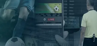 Türkiyədə danışılmış oyunlarla bağlı əməliyyat keçirilib, 32 nəfər saxlanılıb