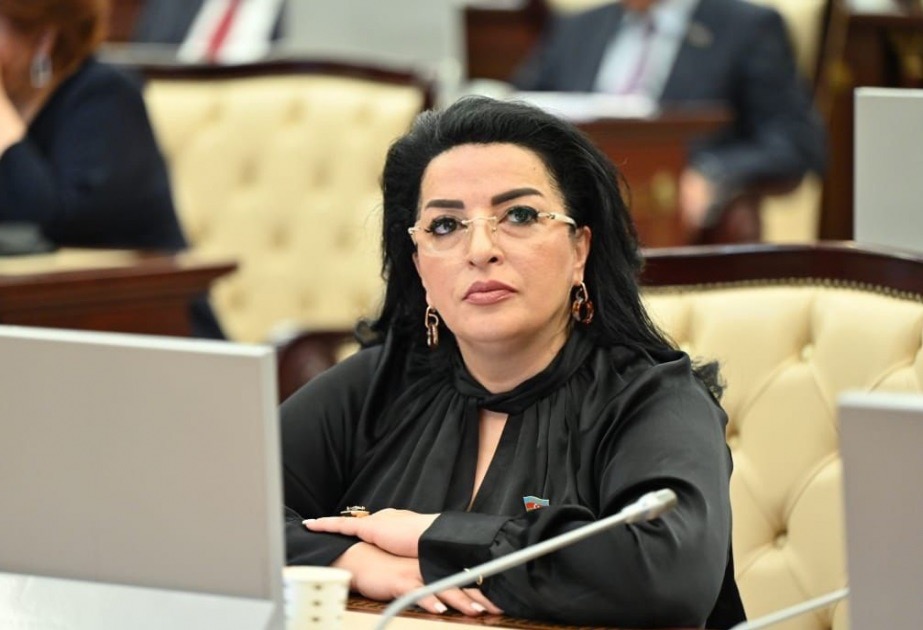 “Azərbaycan ABŞ-ın siyasi gündəmindədir”