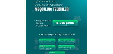 Azad edilmiş ərazilərə köçən 8466 nəfərin məşğulluğu təmin edilib