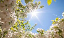 Martda temperatur iqlim normasından yüksək olacaq - AYLIQ PROQNOZ