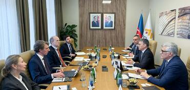 Zakir İbrahimov “Wood Mackenzie”nin vitse-prezidenti ilə görüşüb