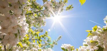 Martda temperatur iqlim normasından yüksək olacaq - AYLIQ PROQNOZ