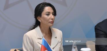 Ombudsmanın qanunvericilik təşəbbüsü hüququ istəyir