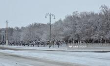 Bəzi yerlərdə qar yağır - FAKTİKİ HAVA