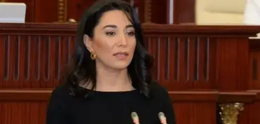 “2025-ci ildə Ombudsmanın ünvanına 42.685 müraciət daxil olub”