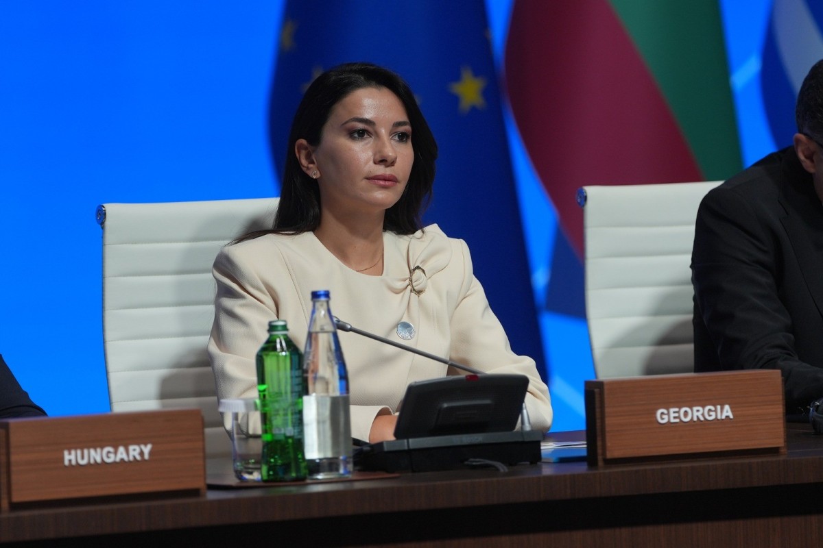 Nazir: Gürcüstan Cənub Qaz Dəhlizinin iştirakçısı olmaqdan qürur duyur