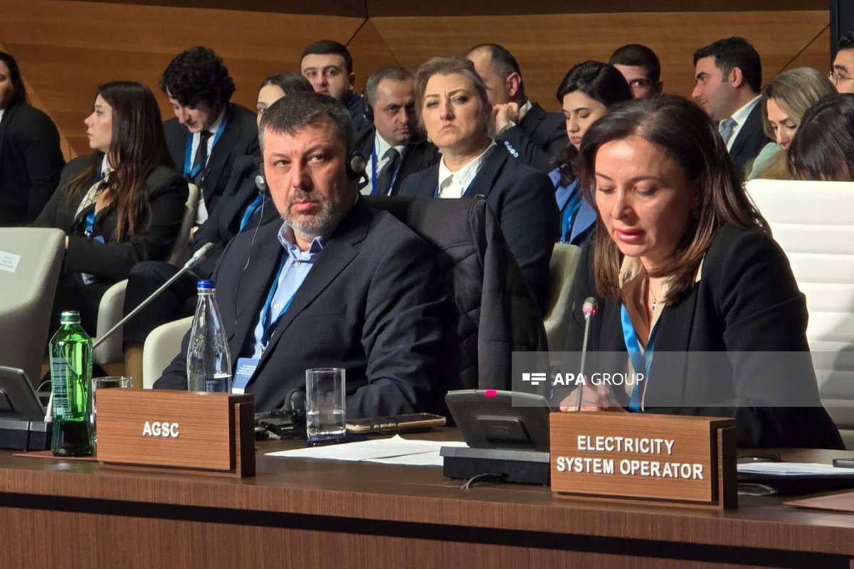 Lidya Salahova: Ötən il Aİ-yə 12 mlrd. kubmetr qaz tədarük edilib