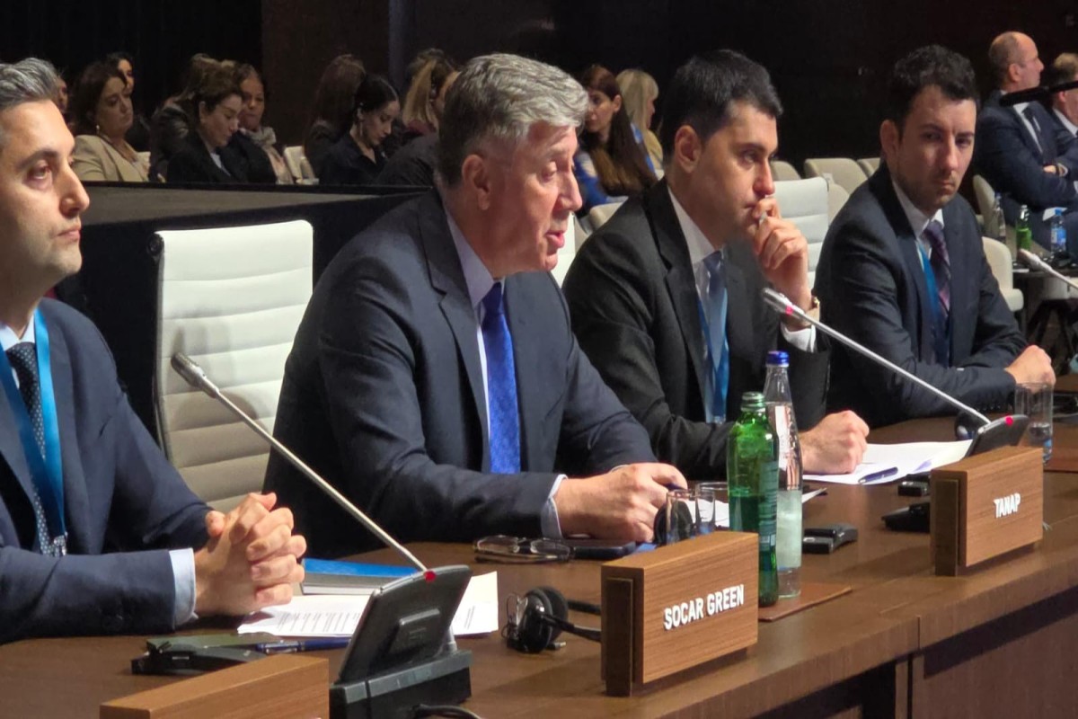 TANAP-ın ötürmə gücü illik 31 mlrd. kubmetrədək artırıla bilər