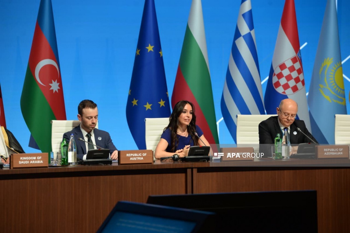 Leyla Əliyeva: Əgər Xəzər çətin vəziyyətdədirsə, demək ki, dünya ekosistemi təhlükə altındadır