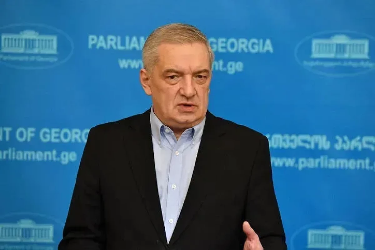 Gürcü vitse-spiker: Cənubi Qafqaz ölkələri sabitlik üçün səylərini birləşdirməlidirlər