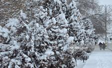 Bəzi yerlərə qar yağır - FAKTİKİ HAVA