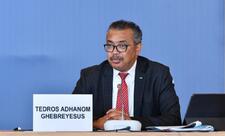 ÜST rəhbəri: BMT-də islahatlar aparılmalıdır