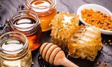 Ötən il Azərbaycanda 5 min tona yaxın bal istehsal olunub