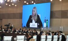 Jelka Tsviyanoviç: Prezident İlham Əliyevin bölgə üçün sülhü təşviq səylərini dəstəkləyirəm