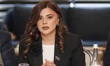 “11 mart görüşü Azərbaycan–Aİ münasibətlərinin strateji əhəmiyyətini bir daha təsdiqləyir”