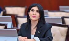 “Paşinyanın bu bəyanatını reallığın etirafı kimi qiymətləndirmək olar”