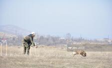 Bu il 65 min hektardan artıq ərazinin minalardan təmizlənməsi planlaşdırılır