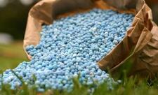 Azərbaycanda gübrə istehsalı zavodu yaradılacaq