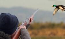 Ötən il qanunsuz ov edən 136 şəxs saxlanılıb, 13-ü xarici vətəndaşdır