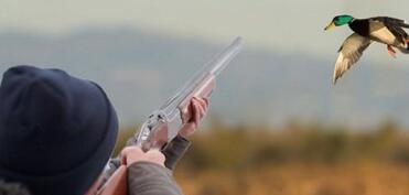 Ötən il qanunsuz ov edən 136 şəxs saxlanılıb, 13-ü xarici vətəndaşdır