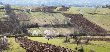 Gürcüstanda azərbaycanlılara məxsus torpaq sahələri məcburi müsadirə olunacaq