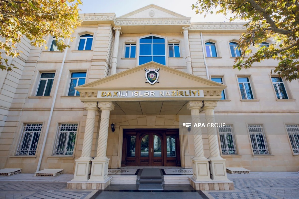 Naxçıvanda “TikTok”da kredit vədi ilə kiberdələduzluq edən şəxs saxlanılıb