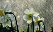 Yağıntılar intensivləşəcək, şimşək çaxacaq, dolu düşəcək - XƏBƏRDARLIQ