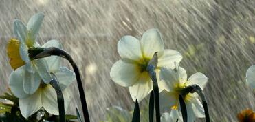 Yağıntılar intensivləşəcək, şimşək çaxacaq, dolu düşəcək - XƏBƏRDARLIQ -YENİLƏNDİ