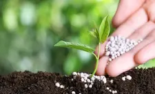 Azərbaycanın gübrə ixracından gəlirləri 40% azalıb