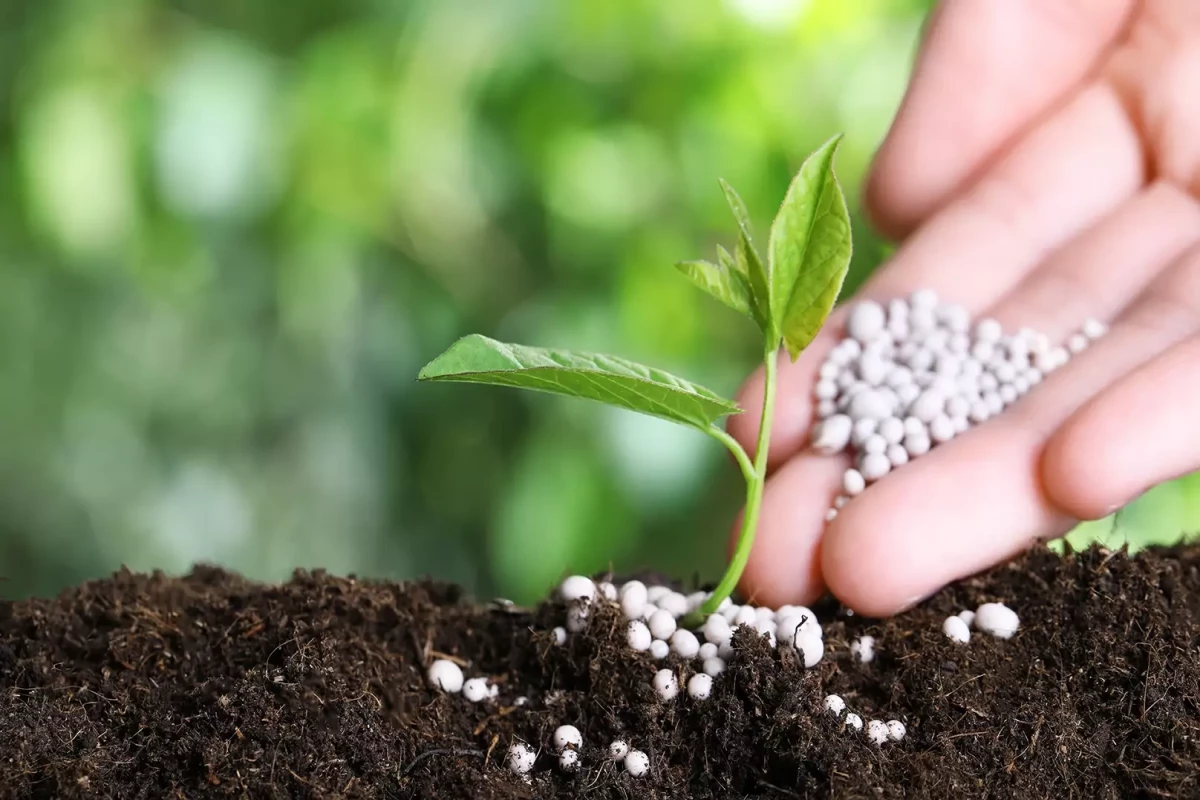 Azərbaycanın gübrə ixracından gəlirləri 40% azalıb