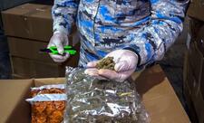 “Qarışıq meyvə qurusu” yükündə 112 kq-dan artıq narkotik vasitə aşkarlanıb