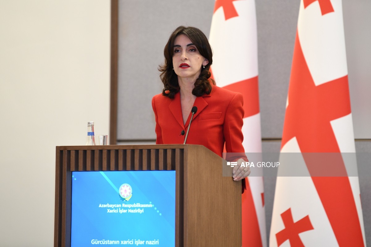 Gürcüstan XİN rəhbəri: Azərbaycanla münasibətlər olduqca intensivdir