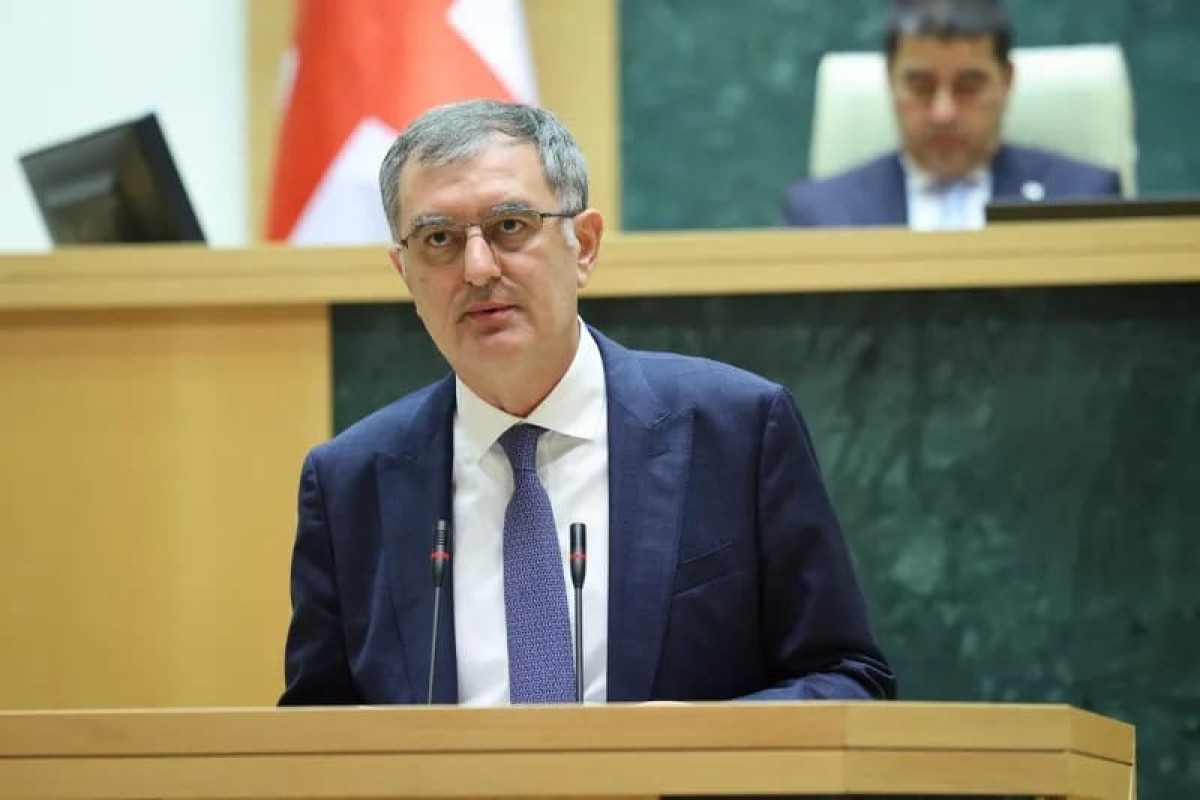 Gürcü vitse-spiker: Azərbaycanda sülh olmasa, Gürcüstanın inkişafı mümkünsüzdür