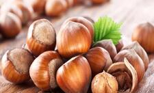 Azərbaycanın meşə fındığı ixracından gəlirləri 2 dəfə artıb