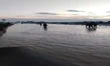 FHN: İntensiv yağışlarla əlaqədar fəsadların aradan qaldırılması və suçəkmə işləri davam etdirilir